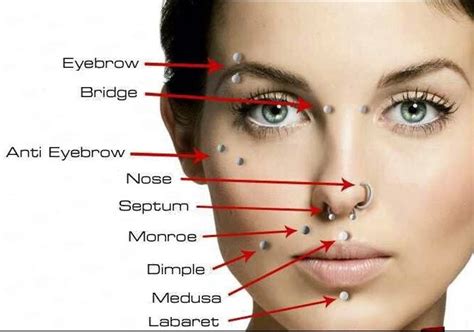 Septum piercing cost. Things To Know About Septum piercing cost. 